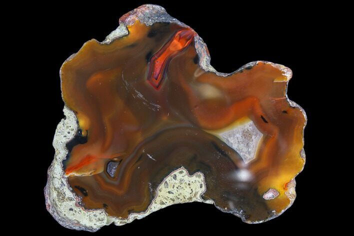 Beautiful Condor Agate From Argentina - Cut/Polished Face #79614